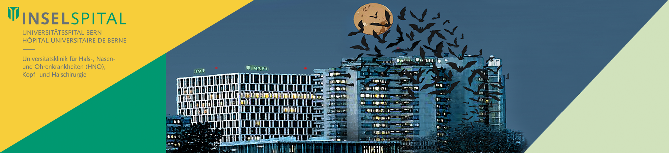 Header Banner für die Konferenz: 15. Abendkurs Halsultraschall. Diese geht vom 26. März 2026 bis 26. März 2026.